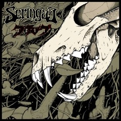 Seringai-Taring