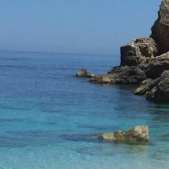 Weisse Rosen Aus Athen