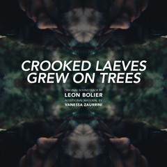 Leon Bolier - Solaris