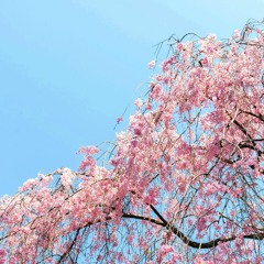 6 Years To 6 Months From Sad To Happy II Ep.1 Motivational Monk