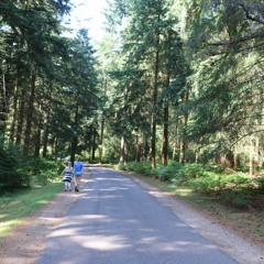 You Come Round Like A Satellite