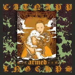 Download: Catnapp - Armed (LNGCHPS remix)