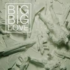 Big Big Love - Winning - (Vibonacci & Starward Remix)