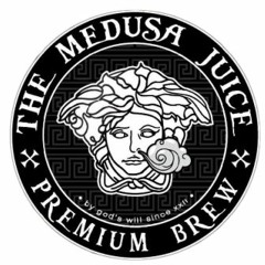 medusa ( TEST ) demo sans suite .