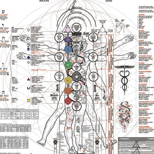 Neuroelectric Circuit
