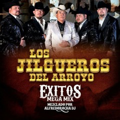 Jilgueros Del Arroyo Exito Mix | July 2018(Saludos al compa Brian Torres de Dallas TX ✌)