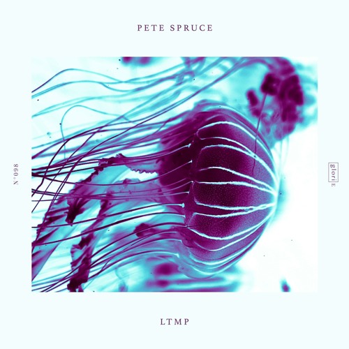 Pete Spruce - LTMP (Let The Music Play) | Out Now | GLO098