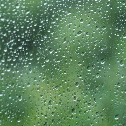 RAIN (Ambient Ver.)
