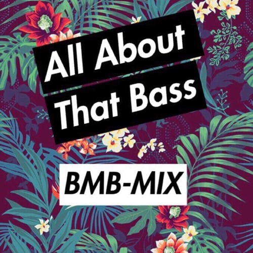 All About That Bass - Emblem3 (TropicaTrap) [Mixed.By BMB]