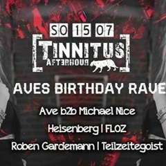 Technotrauma Pt.III @ Ave's Geburtstagsrave