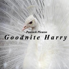 Goodnite Harry
