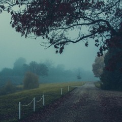 it rains every day