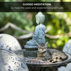 Meditation to heal the past and experience gratitude