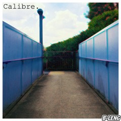 Calibre - DnB Mix