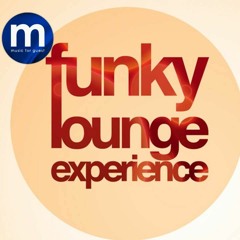 Funky Lounge Experience Vol.6 (I Want The Funk Mix)