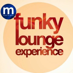 Funky Lounge Experience Vol.3 (The Eclectic Mix)