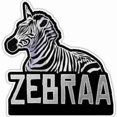 Benny Benassi - Satisfaction (Zebraa Flip)