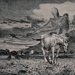 Climate and Capital