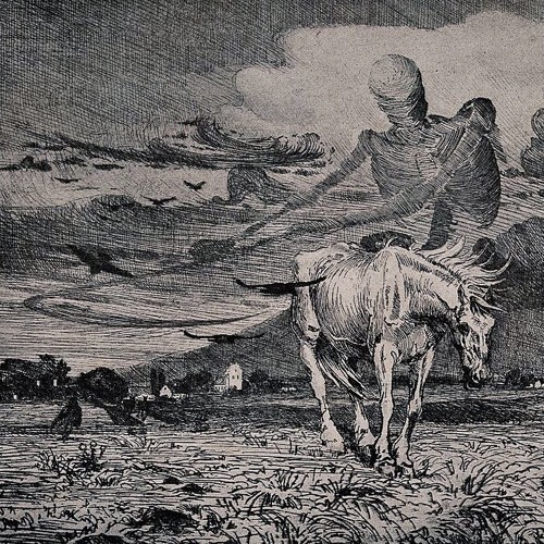 Learning to live on a dying planet.