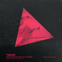 Munir Amastha feat. Sauli Harper - Can You Feel The Night (Jelly For The Babies Instrumental)