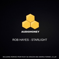 Rob Hayes - Starlight (Andrea Fiorino & eL Jay Remix) (Audio Honey)