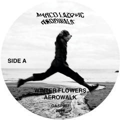 Premiere: Marco Lazovic - Winter Flowers [GASP Records]