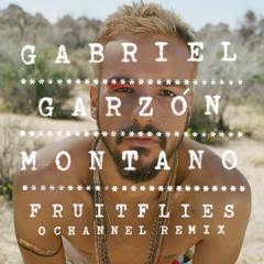Gabriel Garzón-Montano - Fruitflies (0channel Remix)