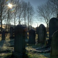 Into the Ground (FREE DOWNLOAD)