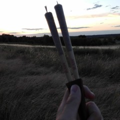 Outsider's Insider (Outro)