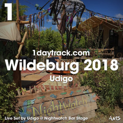 Live Set #3 | Udigo @ Nightwatch Bar Stage, Wildeburg 2018 | 1daytrack.com
