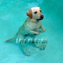 Pikers-Lata Świetlne  Health&Nature