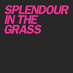 Splendour In The Grass Mixes