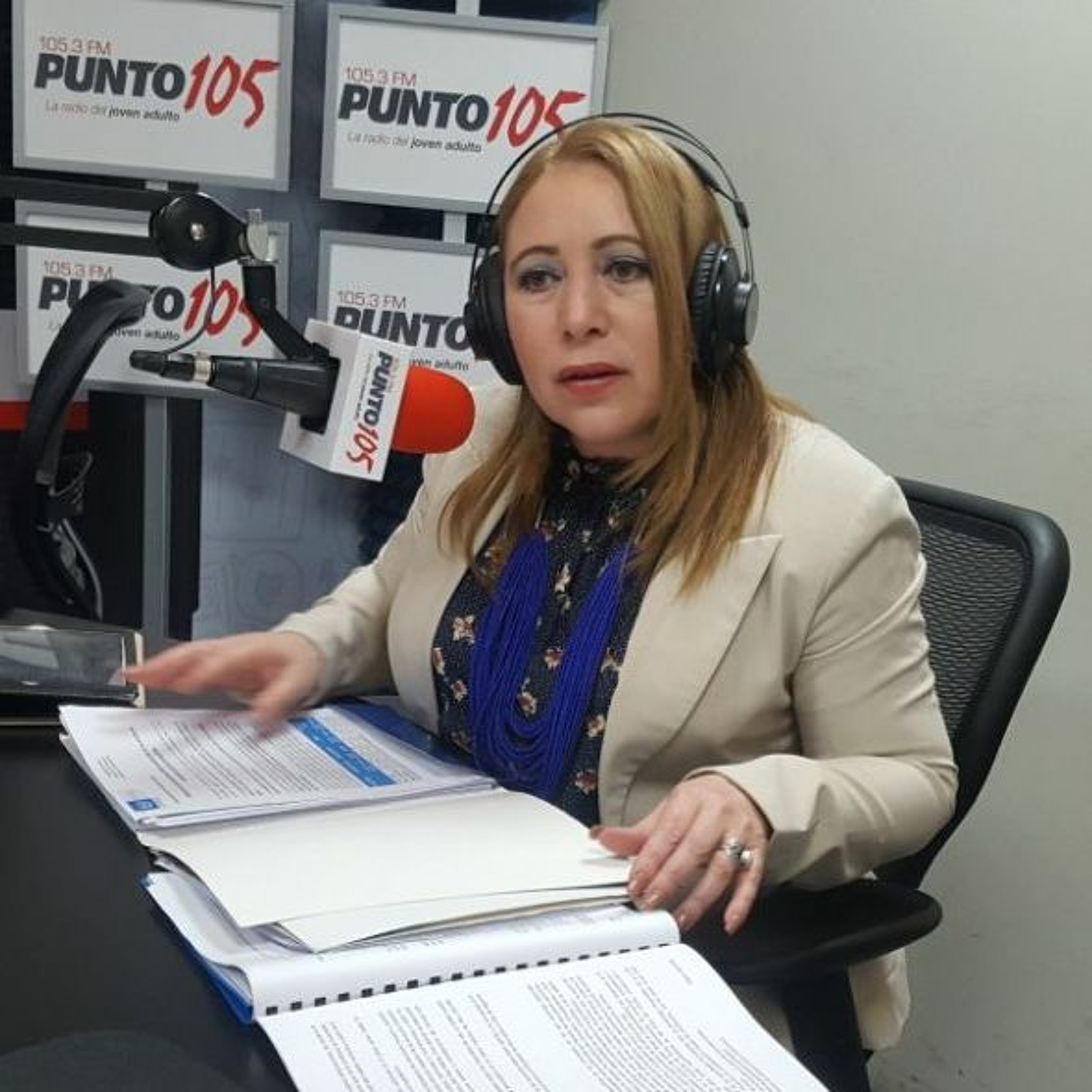 Ministra de Economía: “No ha sido tan fácil que Hacienda nos dé su verificación para las ZEE” episode artwork