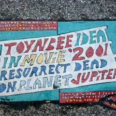 Toynbee Idea