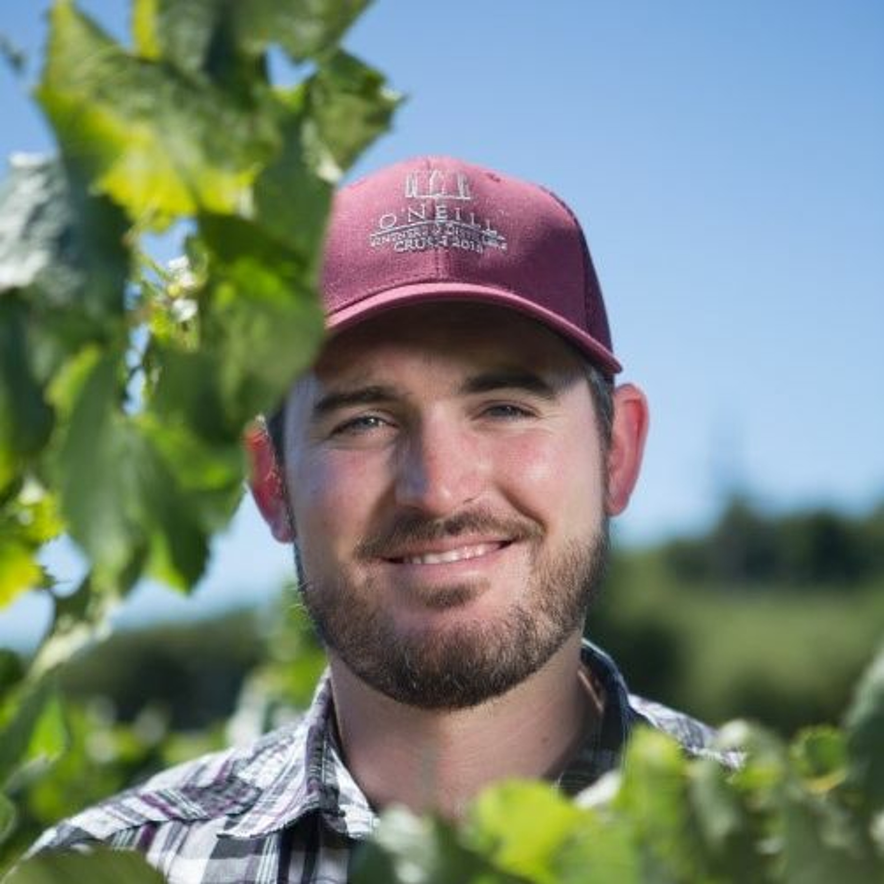 Wine Podcast: The Honest Pour with John Lenart