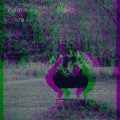 comme des prd. BirdieBands