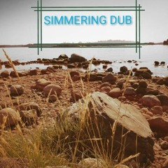Simmering Dub FIMR12