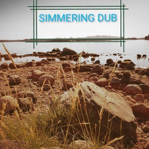 Simmering Dub FIMR12