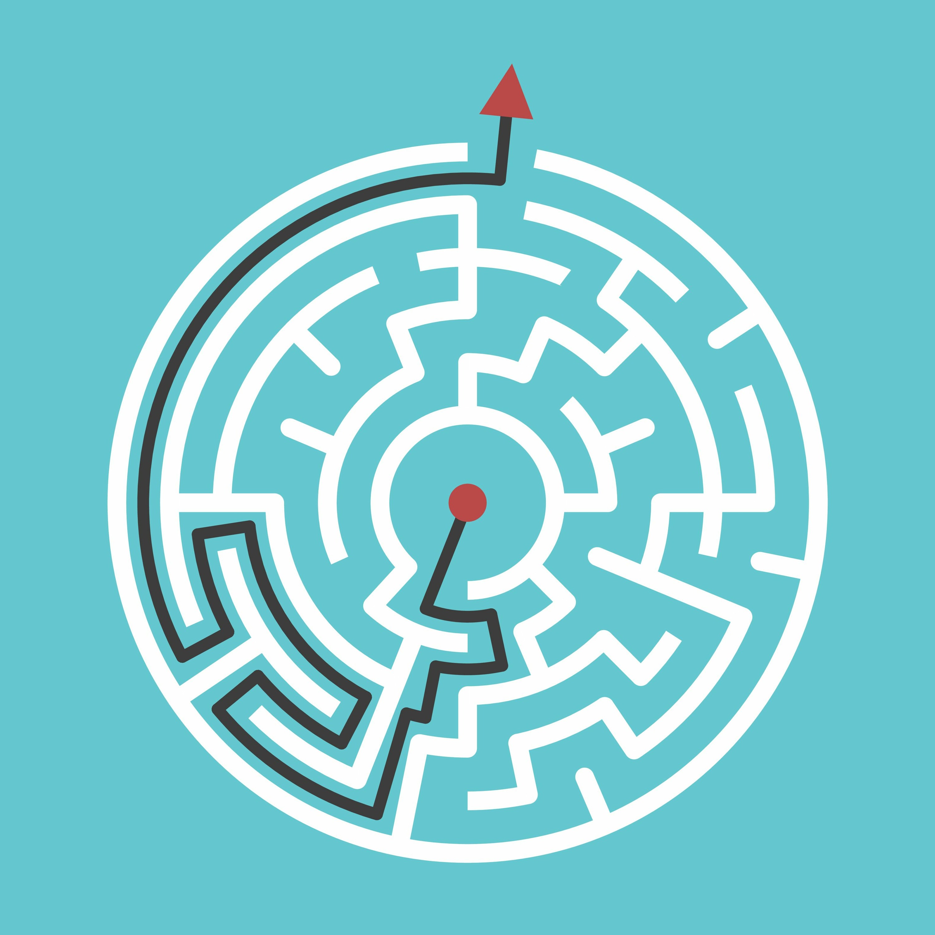 Secrets of Data Analytics Leaders