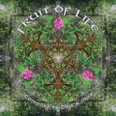 🐸** foREst **🐸