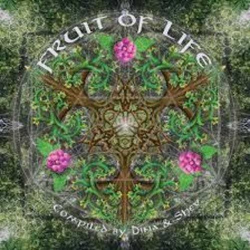 Seb - Tribal Addiction