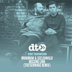 munimuni & Seelenwald - Missing Link (Tiefschwarz Remix)