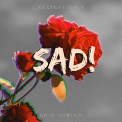 Cole Norton - Sad! (XXX Tentacion Cover)
