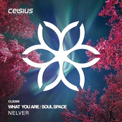 Nelver - What You Are