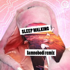 Sleep Walking (Iamnobodi Remix)