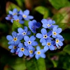 "Forget Me Not" Lil Peep x XXXTentacion Acoustic Type Beat (FREE)