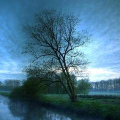 Untitled2