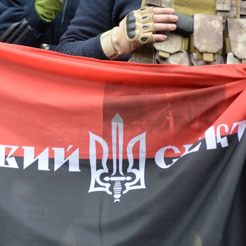The Rise Of Illiberal Civil Society In The Former Soviet Union By