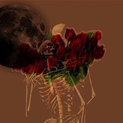 one fifty one (interlude)