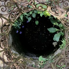 a tiny moment that i can never quite relive